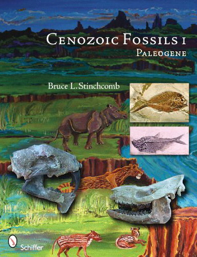 Cenozoic Fossils 1 Paleogene