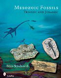 Mesozoic Fossils: Triassic and Jurassic