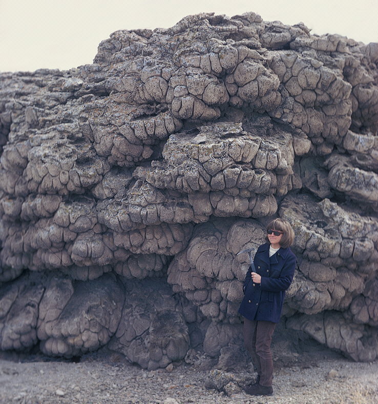 Giant stromatolite colony