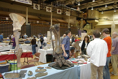 MAPS fossil show 16