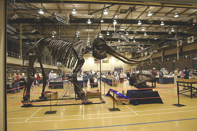 MAPS fossil show 5