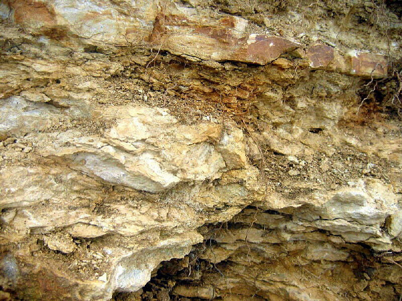 Gzhel quarry limestone
