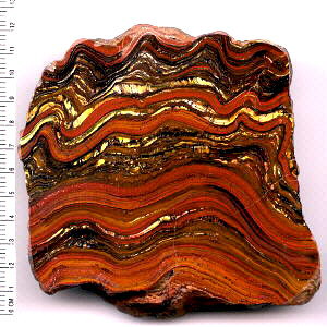 Tiger Iron (Stromatolite)