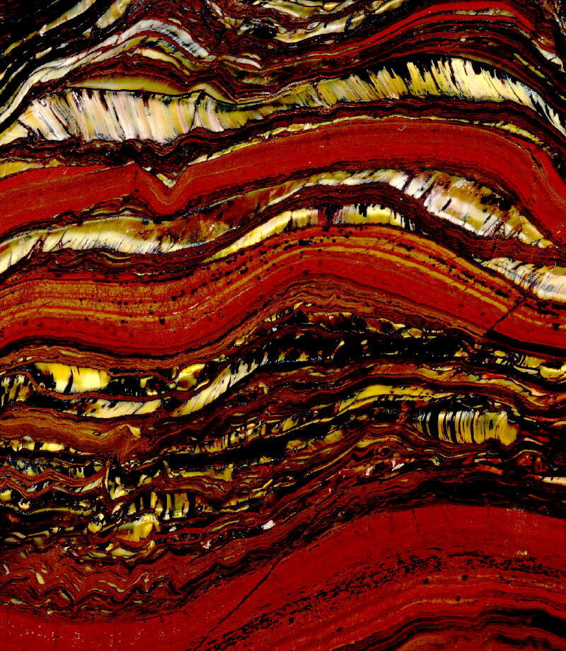 Tiger Iron (Stromatolite)