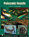 Paleozoic Fossils