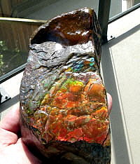 Ammolite (dragonskin)