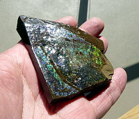 Ammolite (dragonskin)