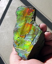 Ammolite (sheet)