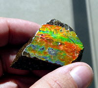 Ammolite (sheet)