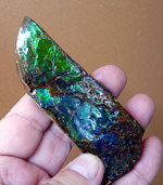 Ammolite (sheet)