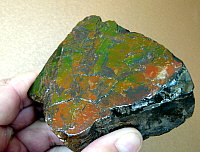 Ammolite (sheet)