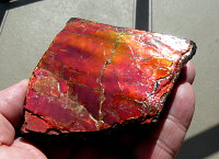 Ammolite (sheet)