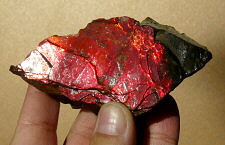 Ammolite (sheet)