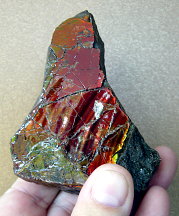 Ammolite (sheet)