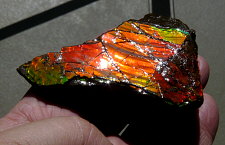 Ammolite (sheet)