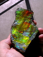 Ammolite (sheet)