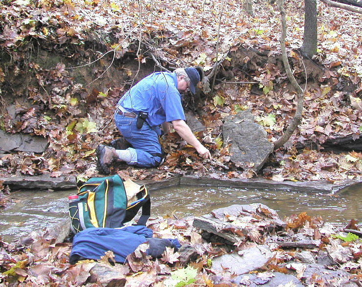 Autumn fossil hunt in Illinois