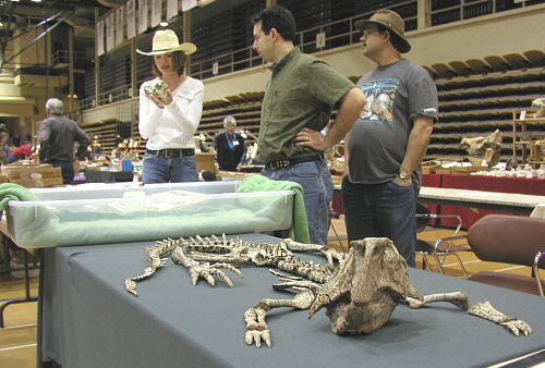 MAPS fossil show 30