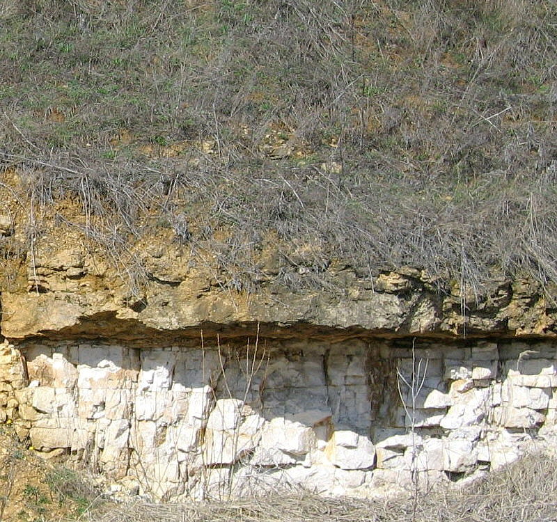 Gzhel quarry section