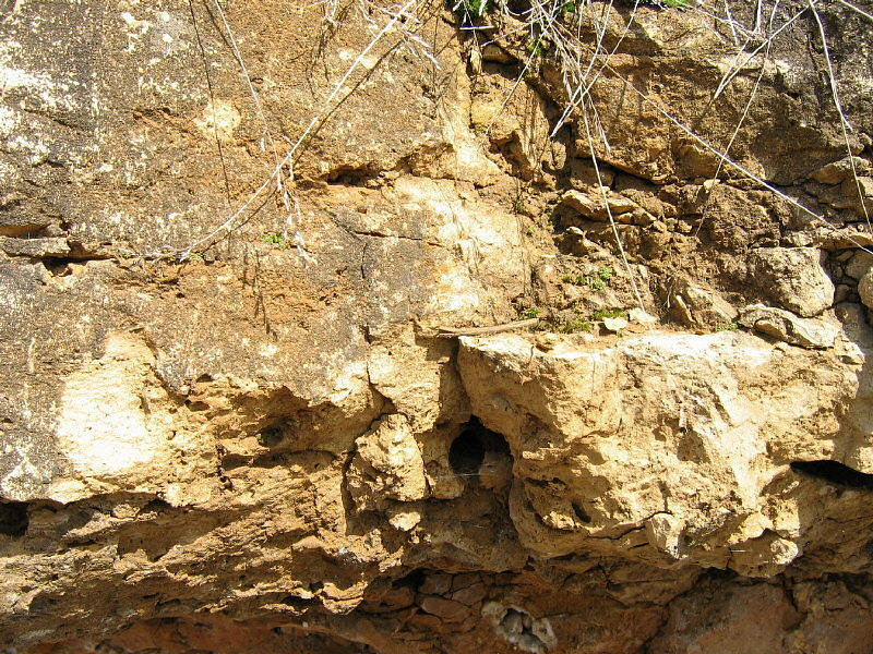 argillaceous coarse dolomite
