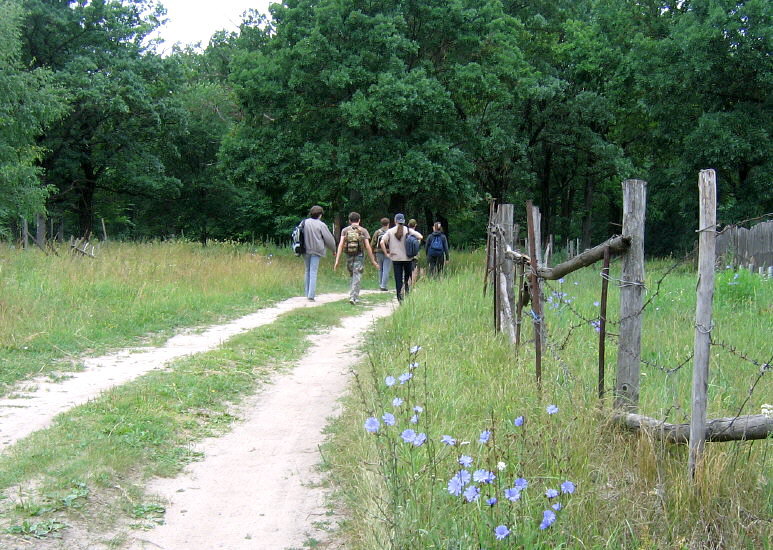 Summer Fossil Hunt in Russia