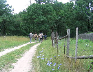 Summer Fossil Hunt in Russia