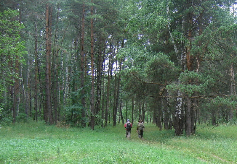 Summer Fossil Hunt in Russia