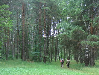 Summer Fossil Hunt in Russia