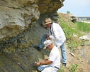 Missouri Fossils