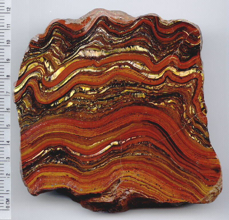 Tiger Iron (Stromatolite)