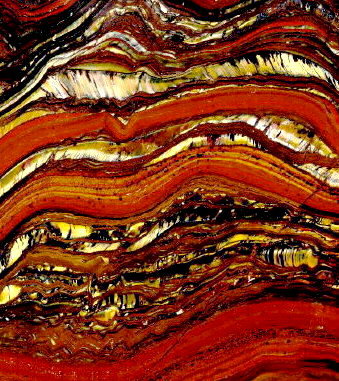 Tiger Iron (Stromatolite)